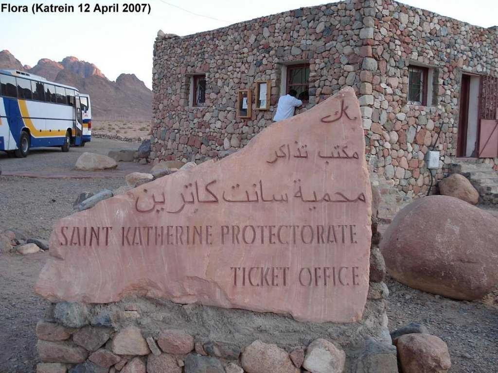 Daniela Village St.Katherine Saint Catherine Exteriör bild
